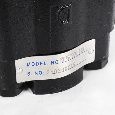 Σε αποθεματισμό Parker Cast Iron Pump P31 Series P31a597beag17-25 Υδραυλική αντλία και ανταλλακτικά για μηχανές κατασκευής